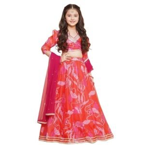 Lehenga Cholis