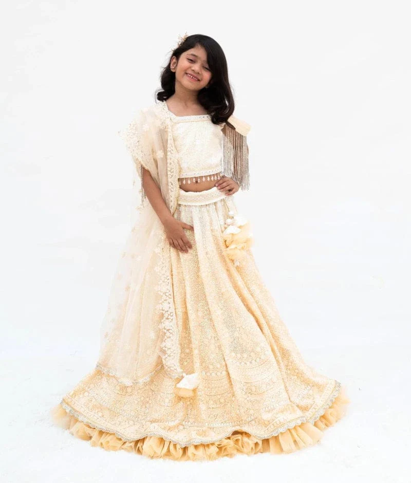 Beige Ombre Lehenga Set